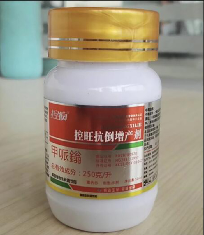 浅谈控疯在棉花上的表现及棉花化控技术要点(图4)