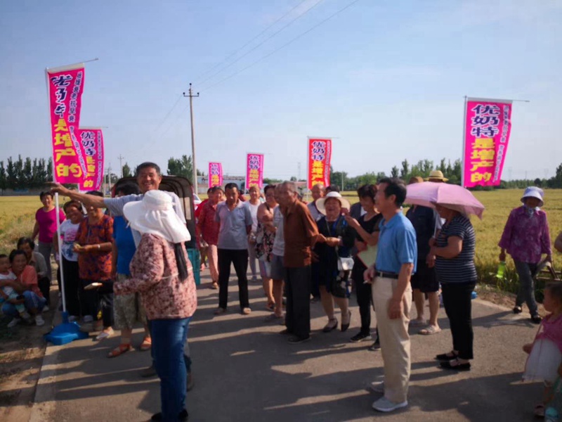 Observation on the Effect of Wheat Yield Increase of Younaite(图5)