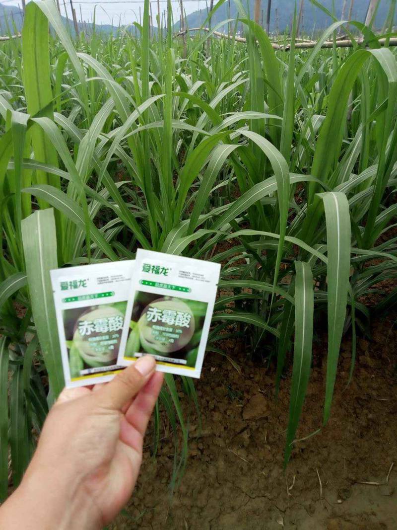 Wengyuan County Ditiantai Agricultural Products Co.,Ltd ＂Nongda 20% Gibberellic Acid Soluble Powder ＂Listing Conference(图4)