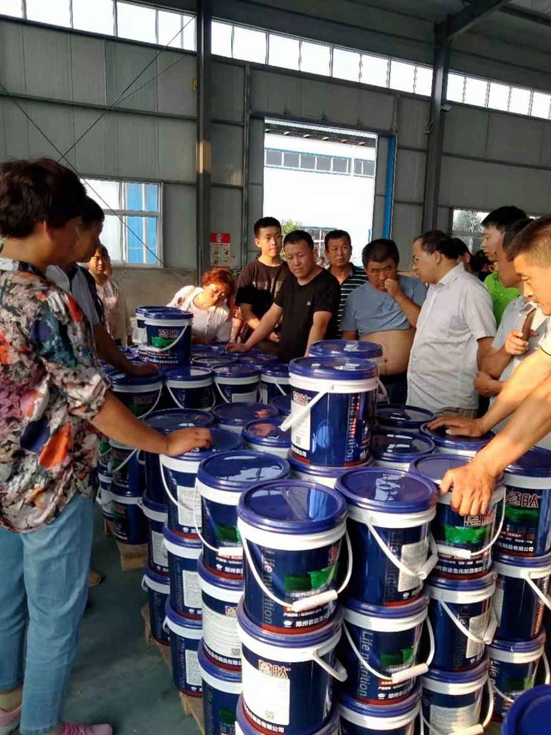 河北衡水饶阳县农资精英到访农达生化孟州园区(图4)