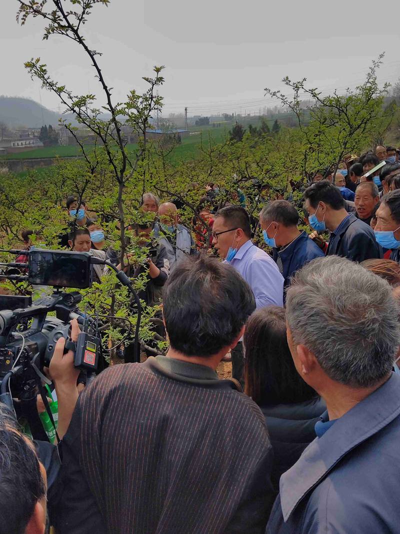 我公司参加渑池县花椒春季管理与病虫害防治技术培训会(图2)