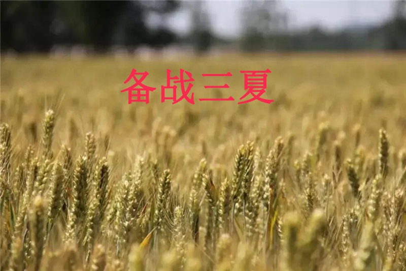关于为您解答bob真人官方网
(今日最新解答)的相关图片