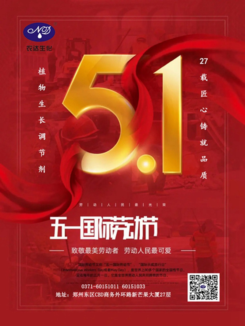 不忘初心，致敬劳动(图1)