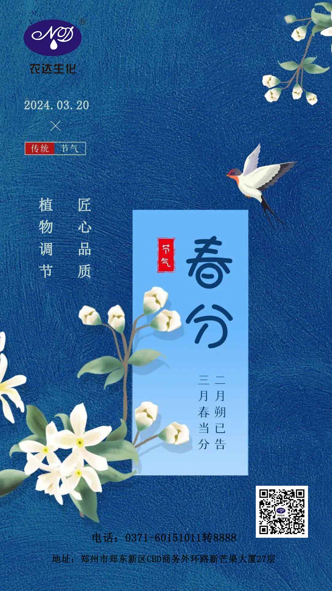 今日春分(图1)