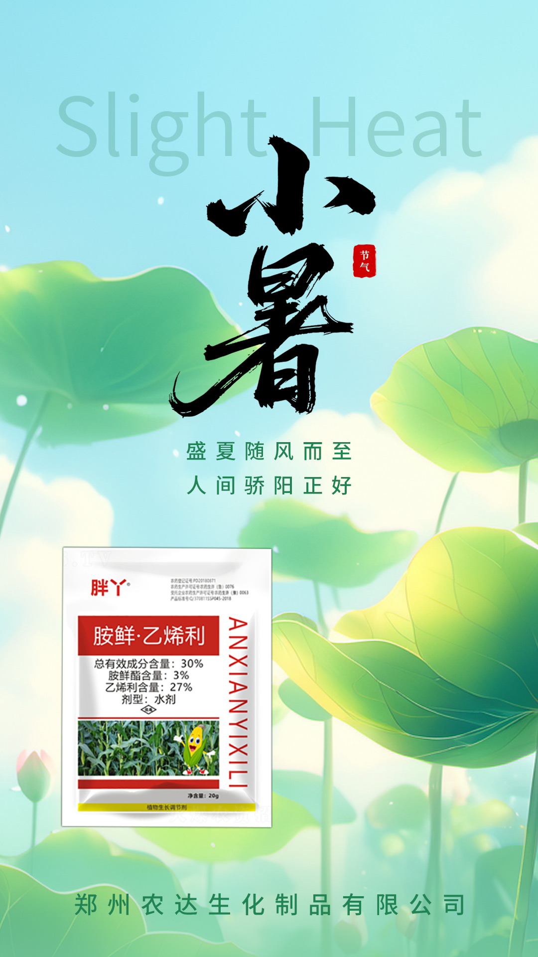 小暑(图2)