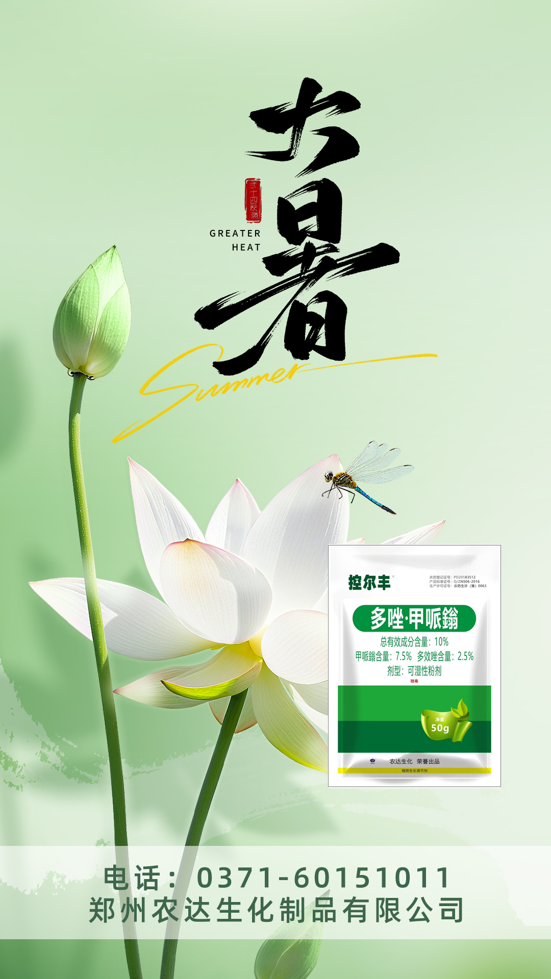 大暑(图8)