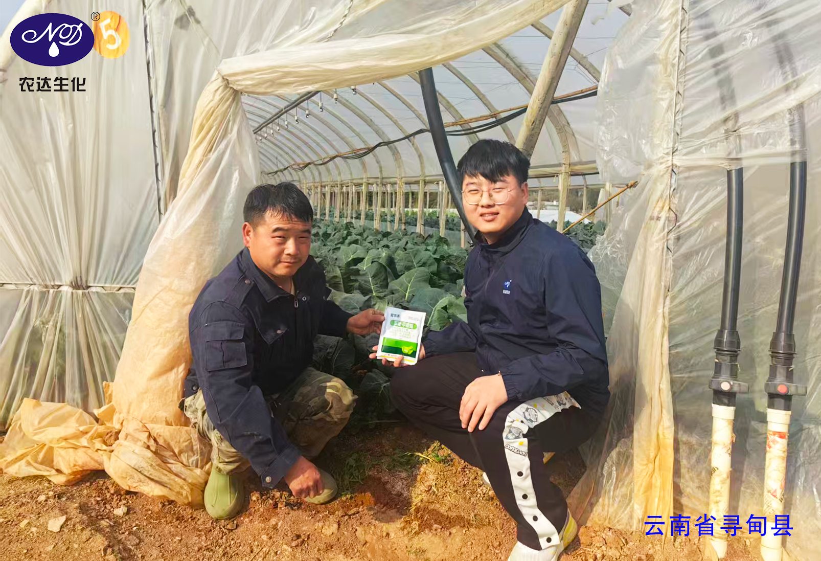 灯火闹元宵 实干护良田！(图2)