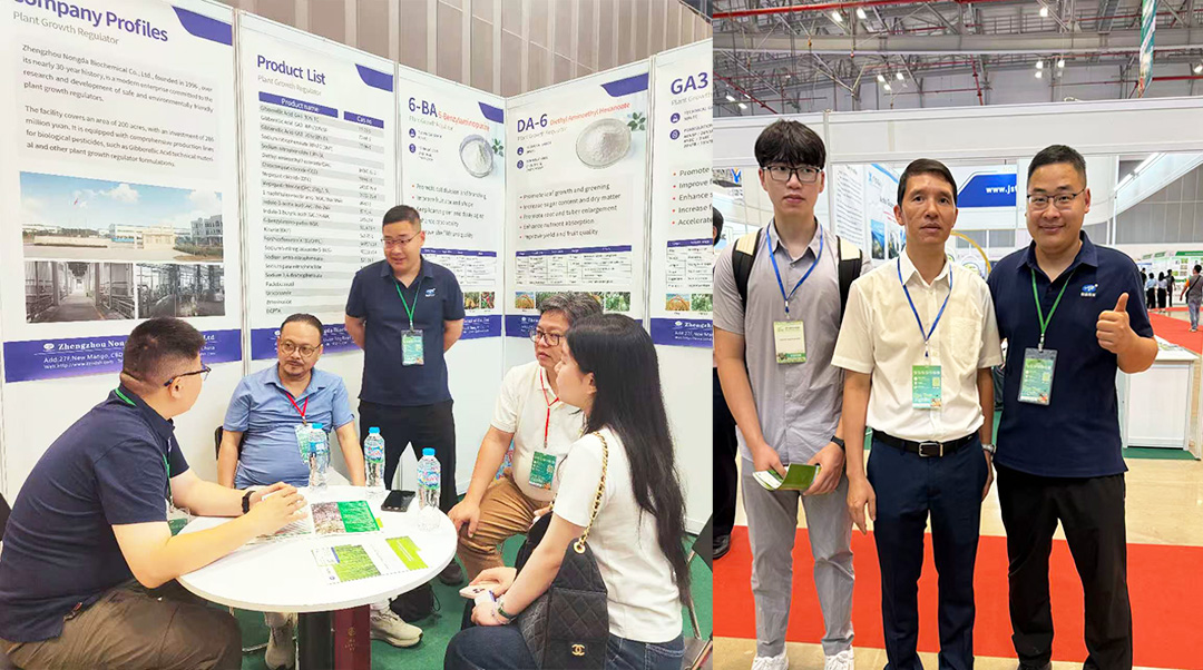 现场直击｜深耕东南亚市场,农达生化亮相越南ACE，热度拉满！(图4)