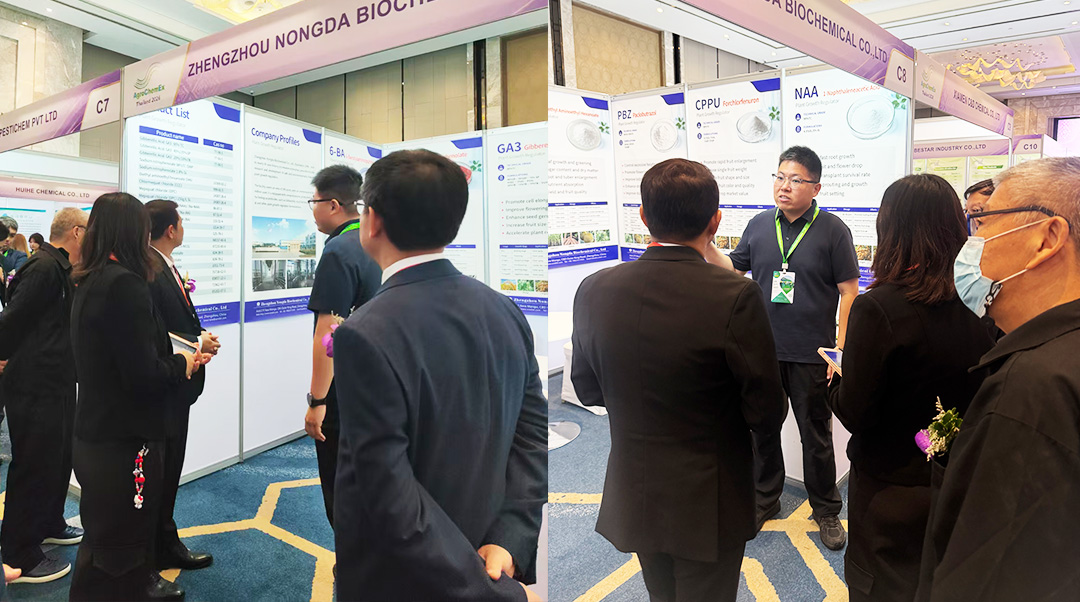 亮相曼谷展会｜农达生化获中泰权威领导肯定！！！(图2)
