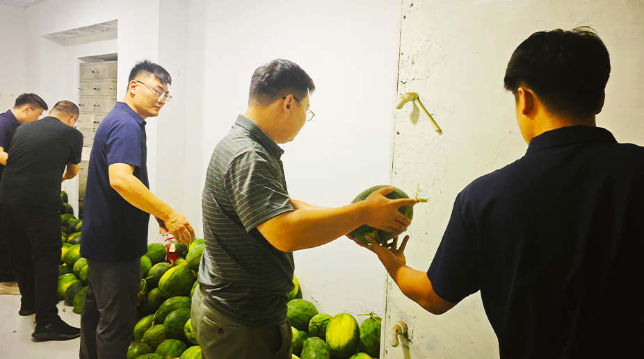 心怀家国饭碗,情系中原瓜农