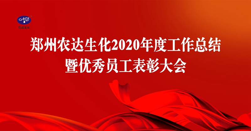 新征程，再出发丨我公司召开2020年度年终总结会议(图1)