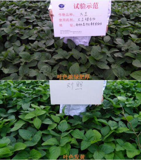 换个思路卖农资，效果也不差！(图1)