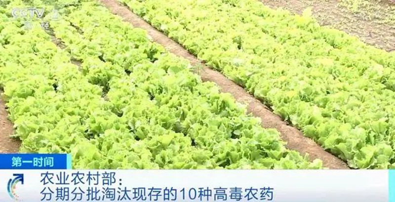 农业农村部:3年内淘汰这10种高毒农药, 重点治理豇豆、韭菜、芹菜农残超标(图1) 农业农村部:3年内淘汰这10种高毒农药, 重点治理豇豆、韭菜、芹菜农残超标(图1)
