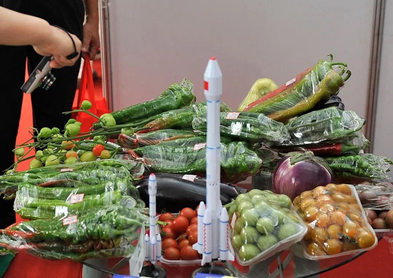 为啥每次太空带货都带种子？(图1)