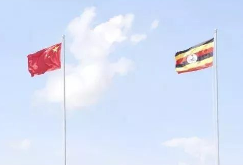 乌干达共和国驻华大使馆公使 莅临农达生化考察(图5)
