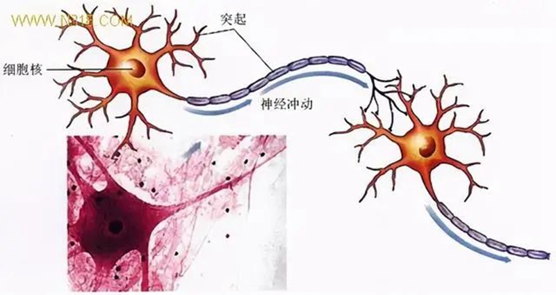 生物农药连续使用会不会产生抗药性？(图1)