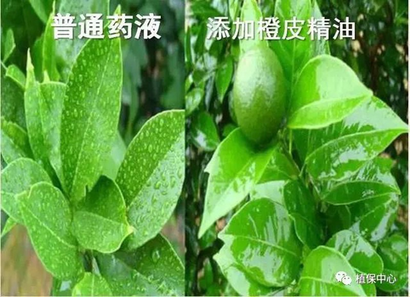 农药成分和含量一模一样，为啥效果差别那么大？(图3)